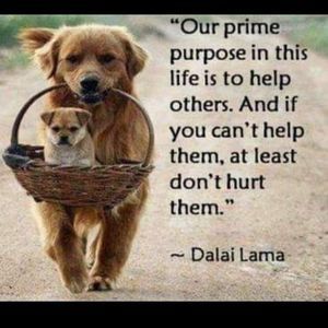 Meet your Posher, Kerene